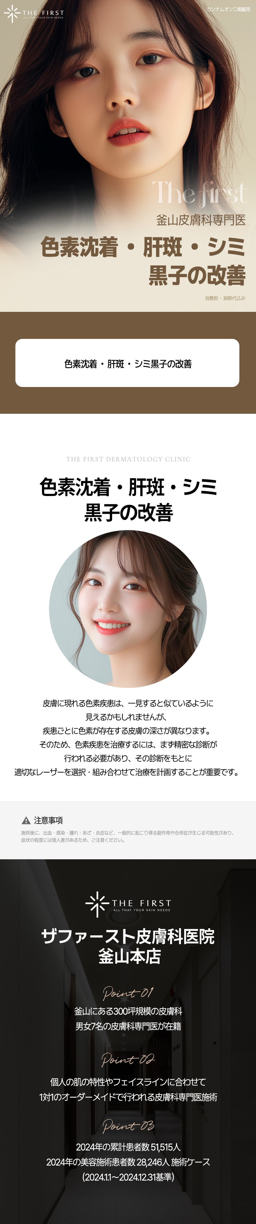 색소기미잡티흑자(일본) (3).jpg